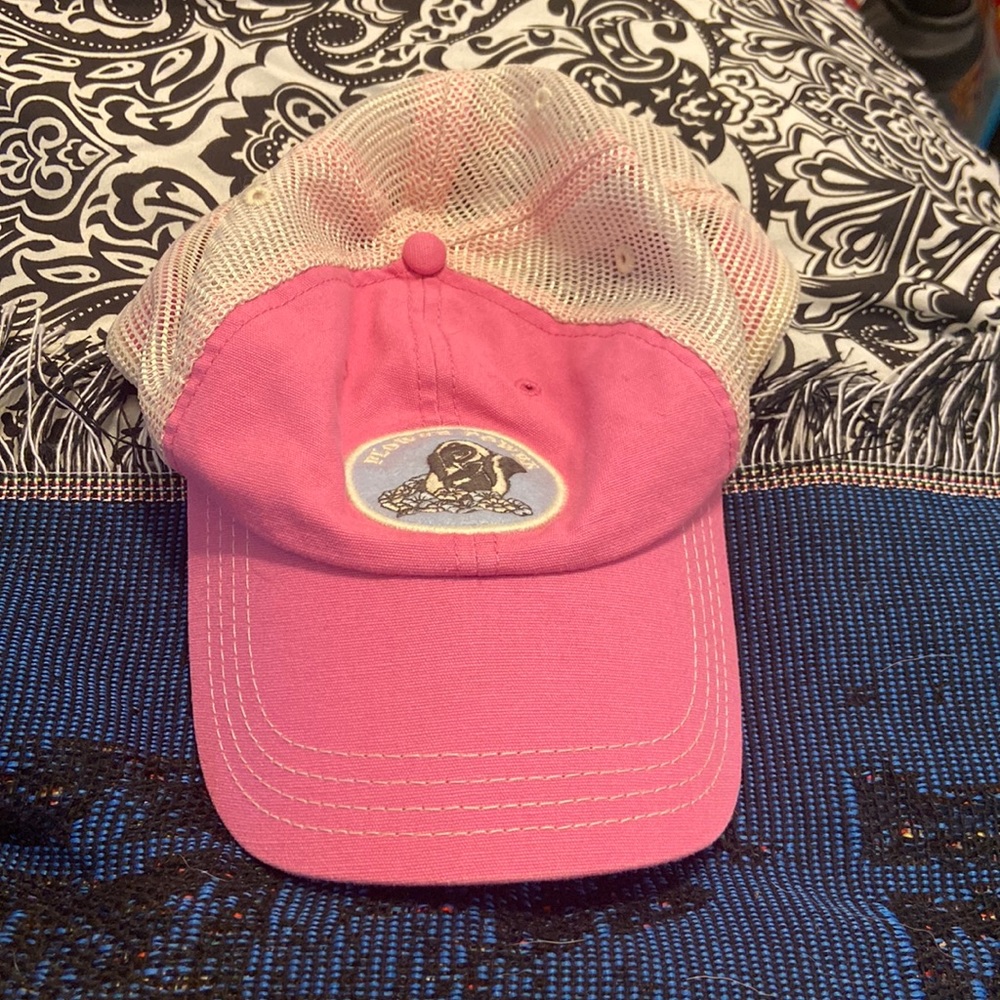 Disney hat